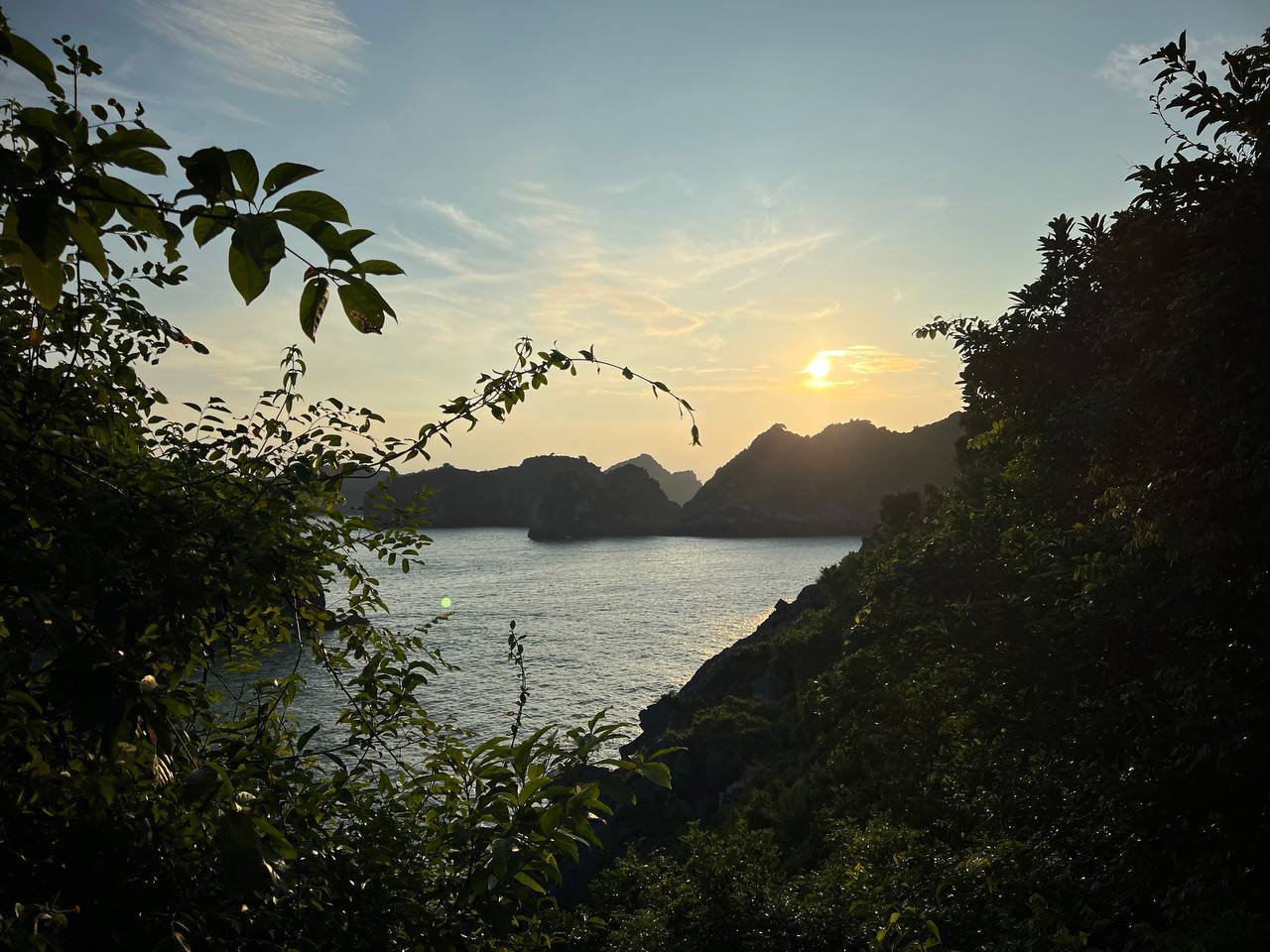 Crépuscule Enchanté